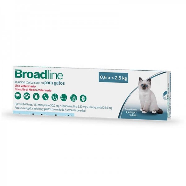 broadline-gatitos-06-25-kg